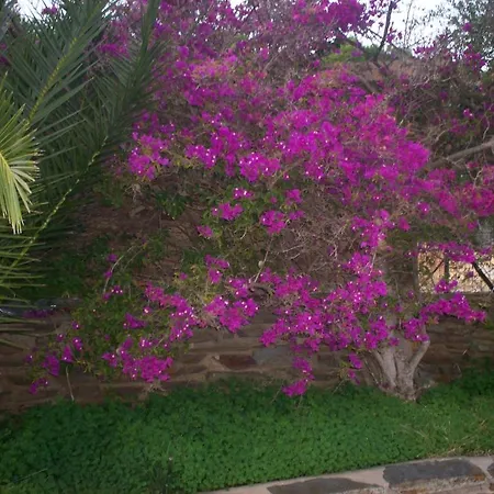 La Dea Madre Bed & Breakfast *